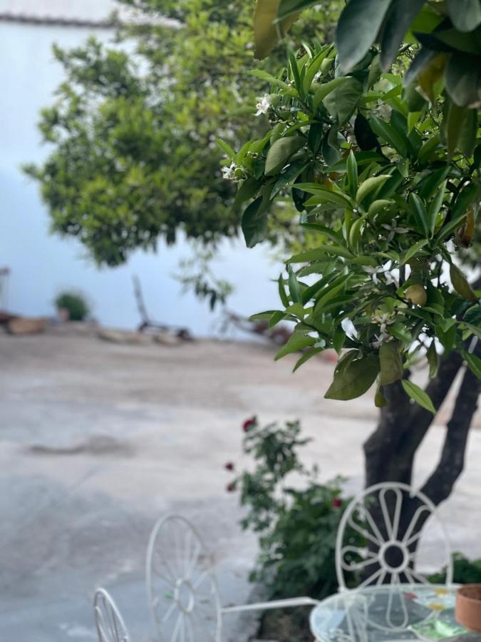Casa Muriana Alanís المظهر الخارجي الصورة